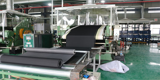 Xuancheng Grand Rubber & Sealing Technology Co., Ltd.